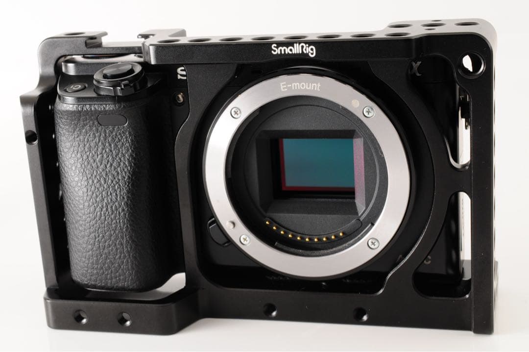 ◆美品◆ Sony a6000 16-50mm / SmallRig付き