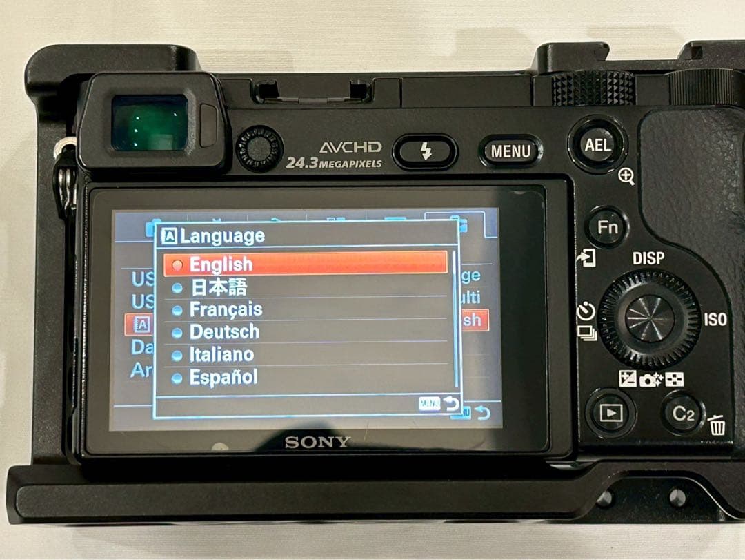 ◆美品◆ Sony a6000 16-50mm / SmallRig付き