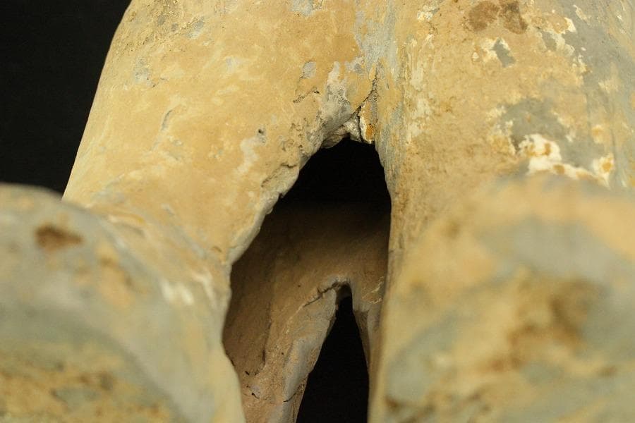 中国美術 加彩 駱駝護人物 俑 高50cm(A882)