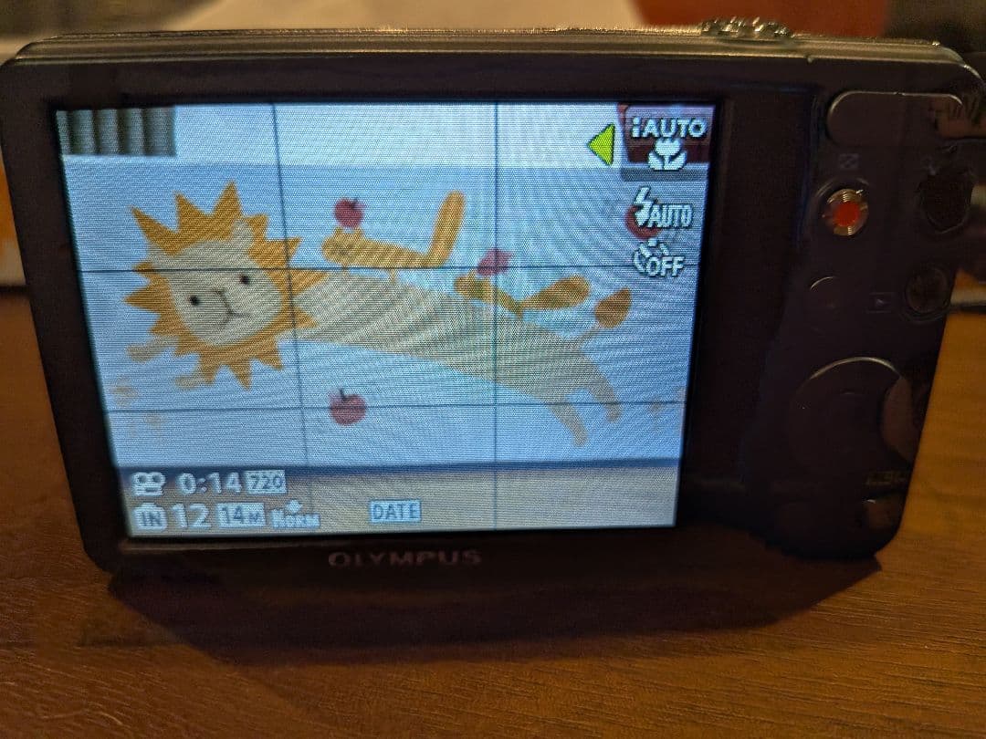 【動作良好】オリンパスOLYMPUS VG-120デジタルカメラ14メガピクセル