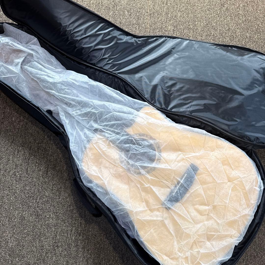 Elvis エルビスアコースティックギター ソフトケース付き