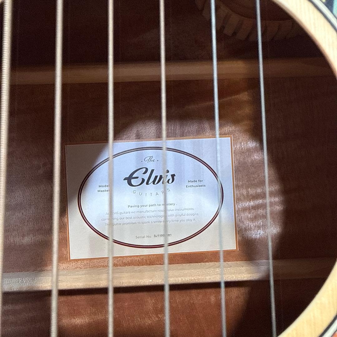 Elvis エルビスアコースティックギター ソフトケース付き