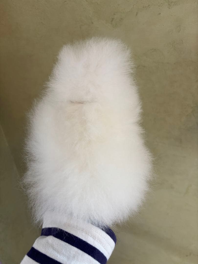 【レア】ベビーアルパカ毛ぬいぐるみ キウイ ホワイト