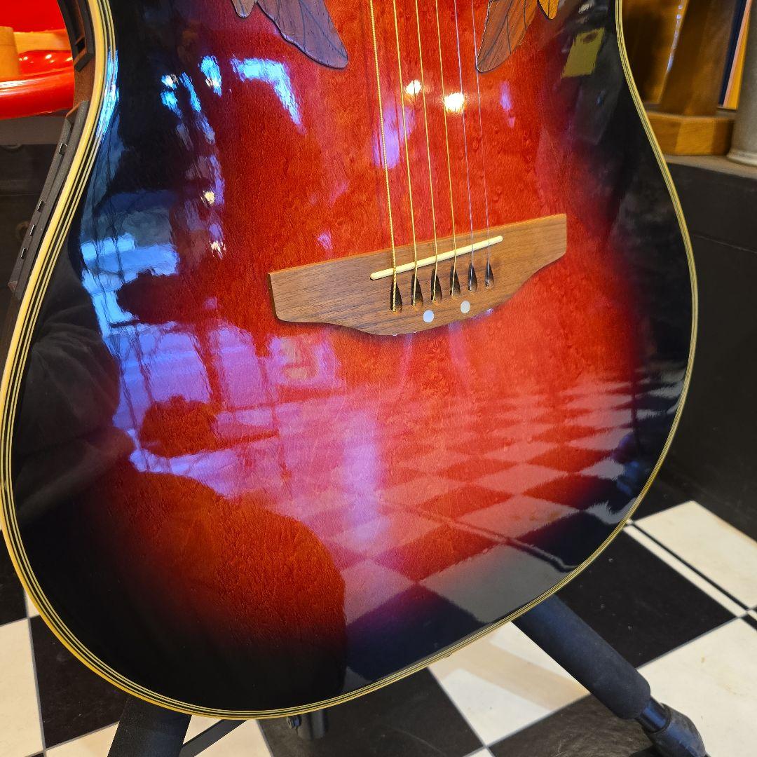 Ovation Celebrity Deluxe CS257 オベーション