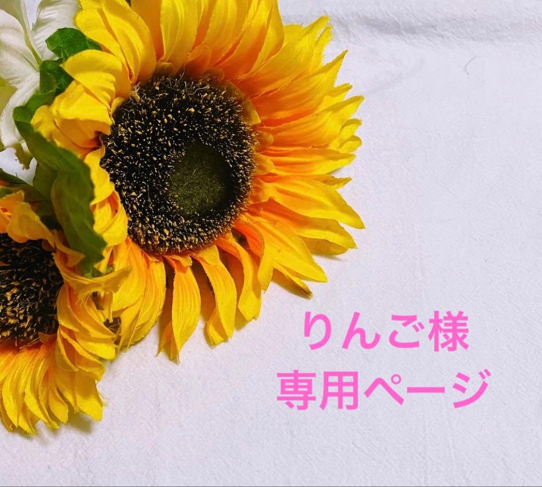 りんご様オーダー専用ページです。