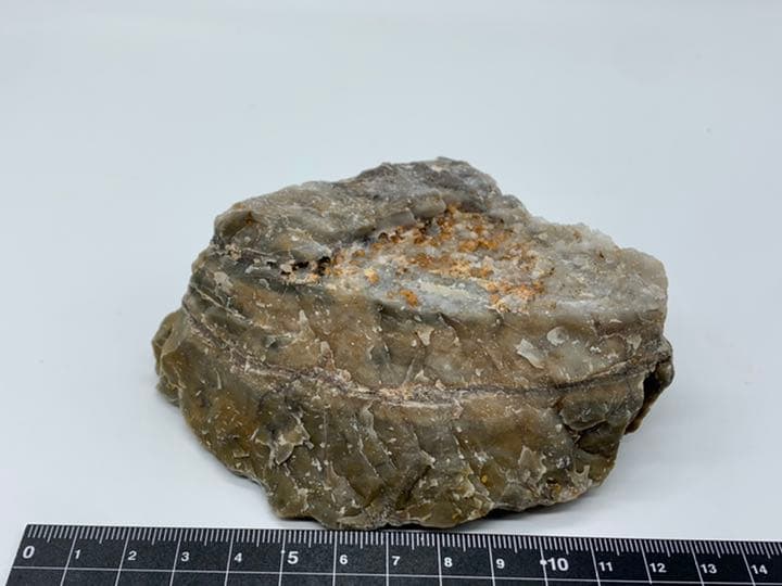 国産鉱物　日光市足尾町　久良沢鉱山　満ばん柘榴石