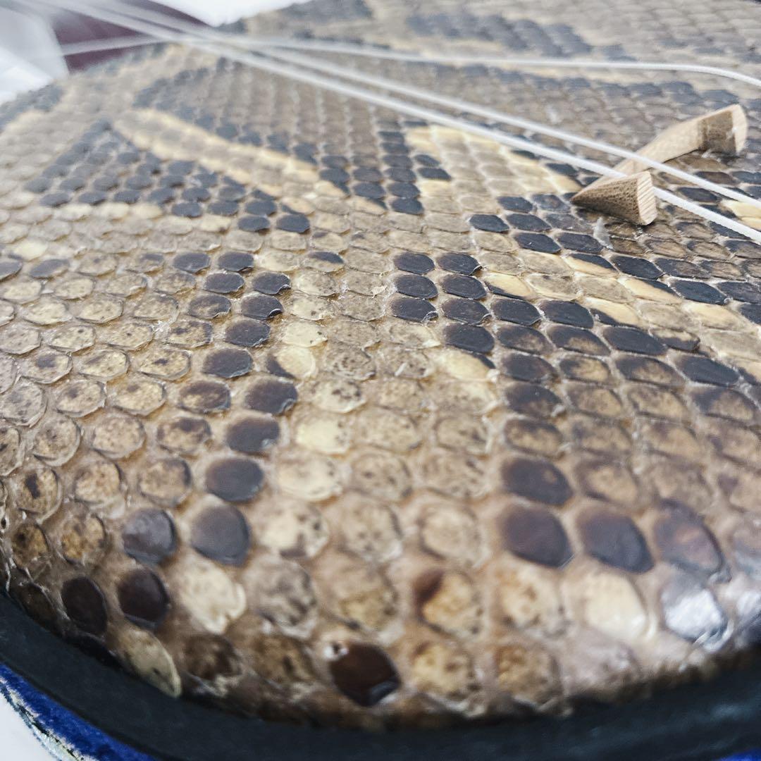 沖縄 三線 本皮 蛇皮 ヘビ皮 ドラゴン刺繍 ソフトケース付き