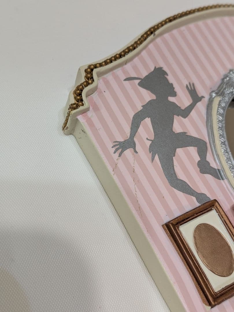 ディズニーストア 30周年 ピーターパン アクセサリーケース