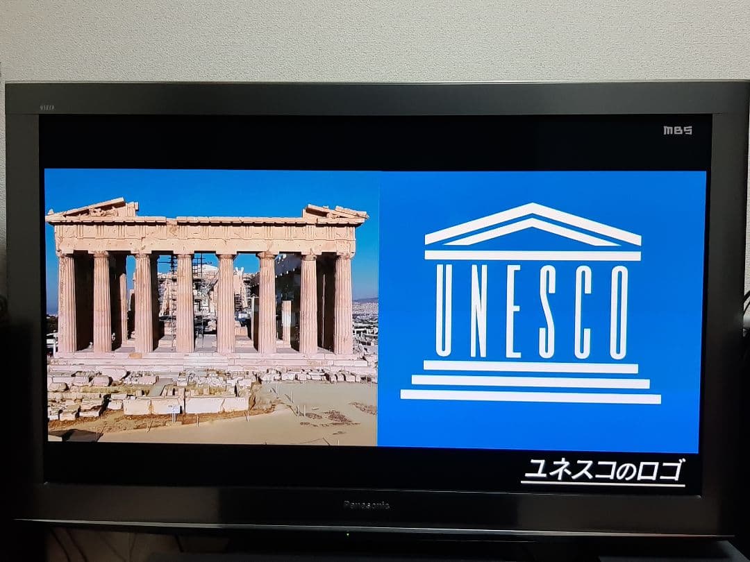 Panasonic プラズマテレビ TH-P46V2(一部焼付きあり)