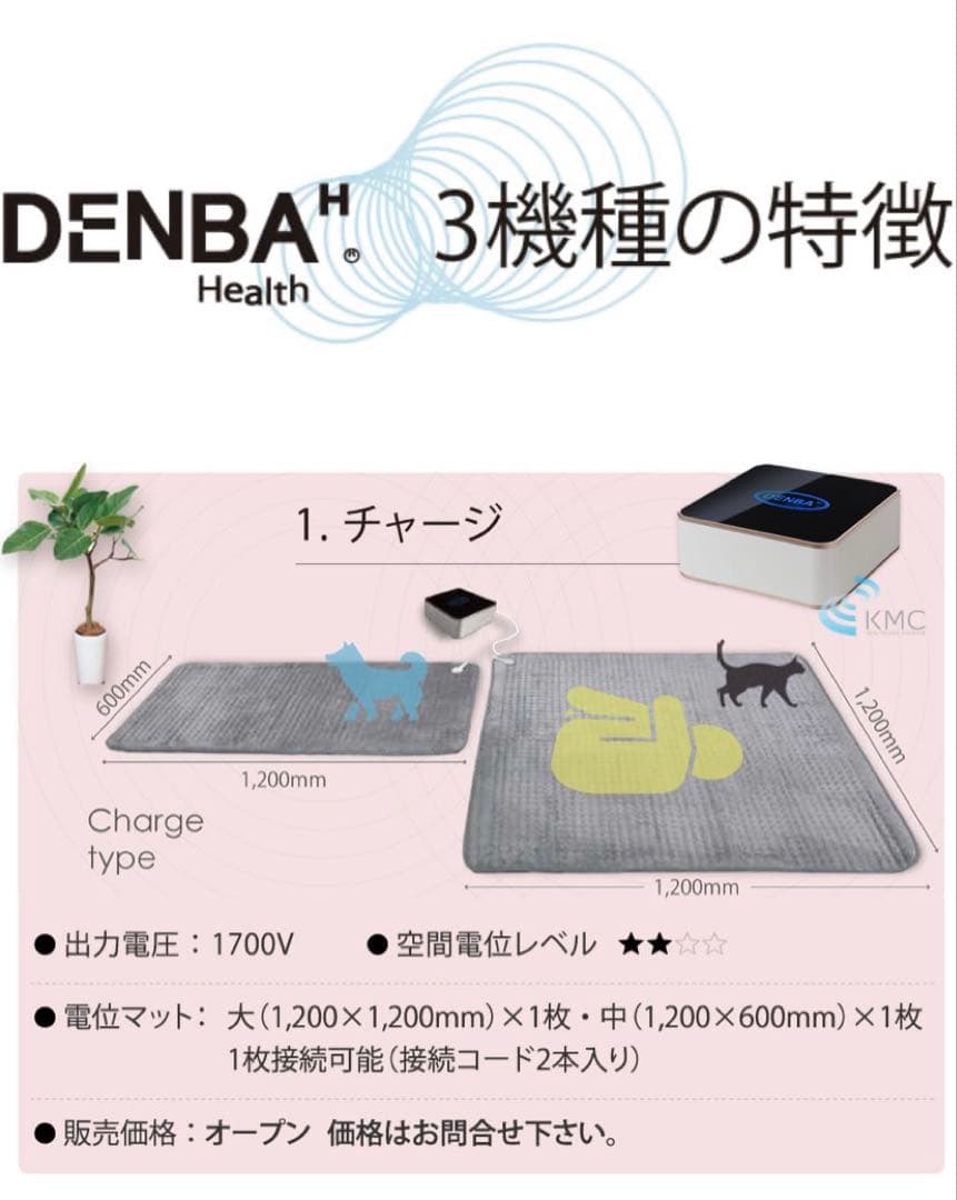 DENBA H 健康機器 専用カバーと電波計測器付き