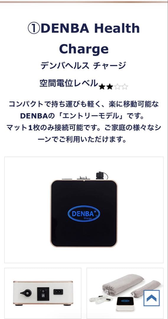 DENBA H 健康機器 専用カバーと電波計測器付き