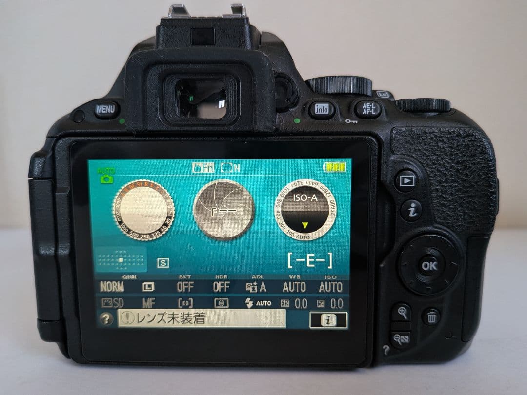​自撮り＆スマホ転送OK Nikon D5500 希少な単焦点セット 豪華おまけ