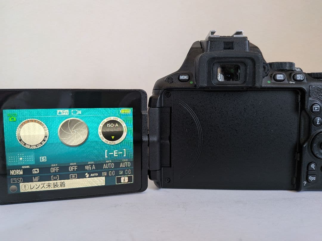 ​自撮り＆スマホ転送OK Nikon D5500 希少な単焦点セット 豪華おまけ