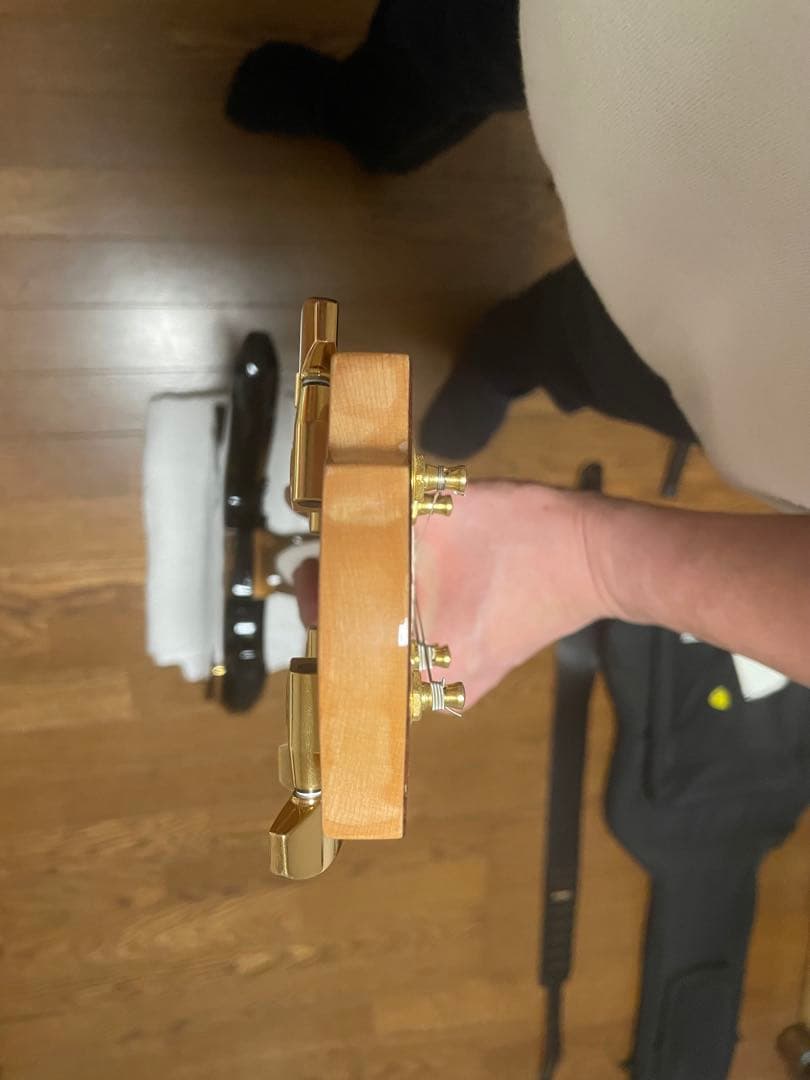 フェルナンデス　MG100x hide ギター (80.120x同等品) 値下げ