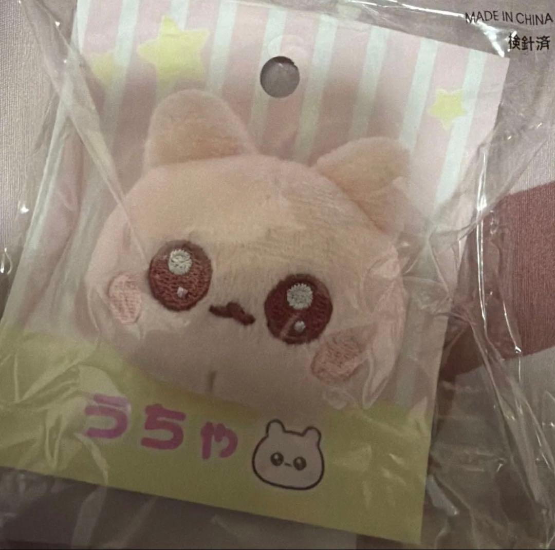うちゃ こつめちゃん まとめ売り 条件付バラ売り○