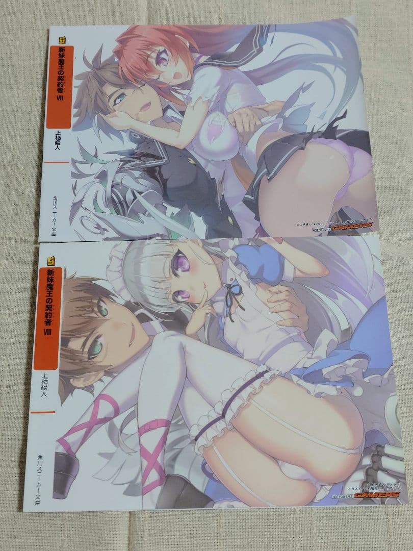 【バラ売り可】（ノベル版）新妹魔王の契約者　特典ブックカバー　10枚セット