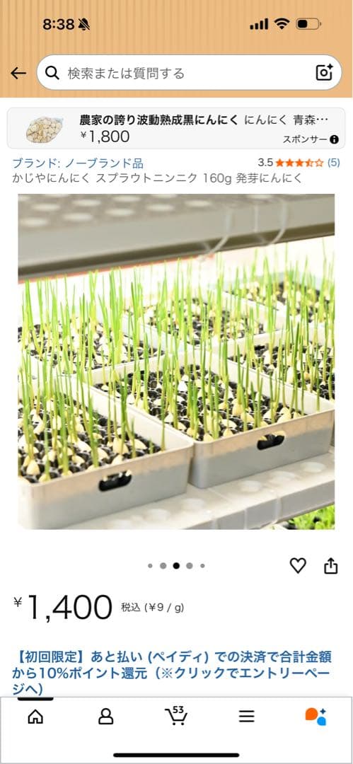 発芽にんにく。1kg食用&苗用、クール便