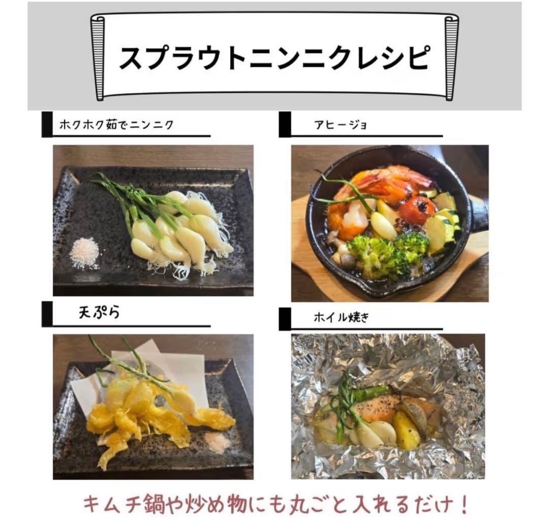 発芽にんにく。1kg食用&苗用、クール便