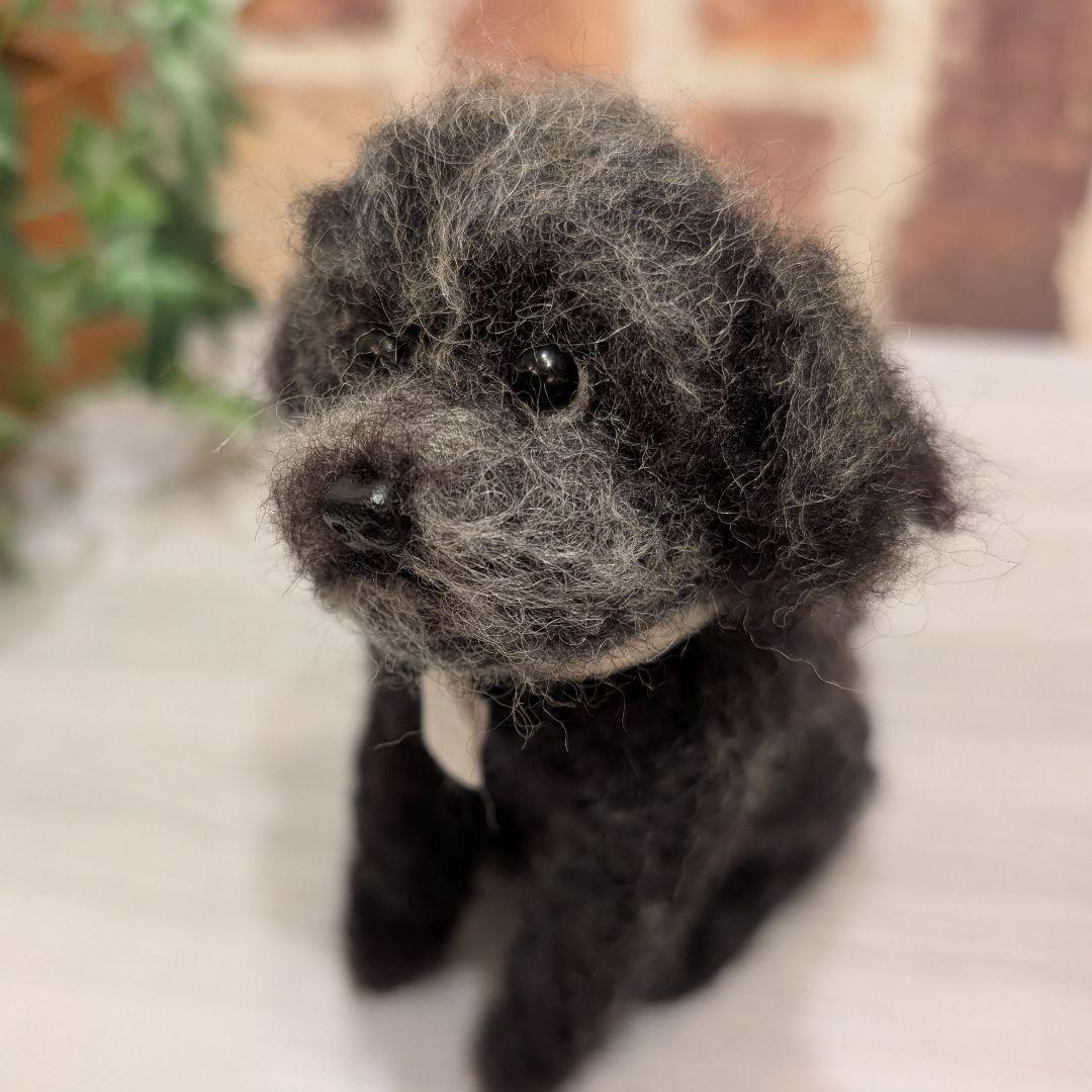 さっちゃんページです