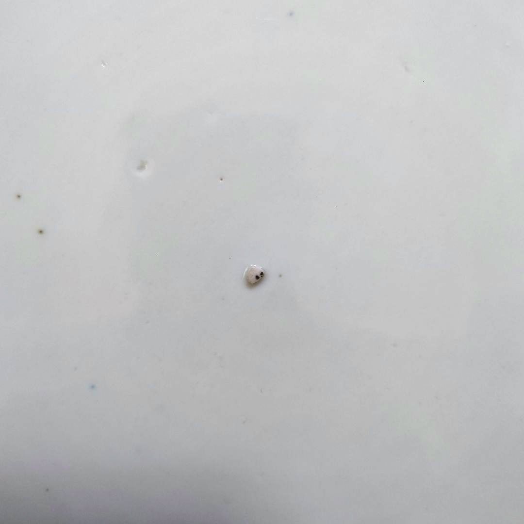 大値下げ⚫希少特大皿⚫古伊万里色絵松竹梅花唐子図大皿⚫直径約46.5cm大正時代