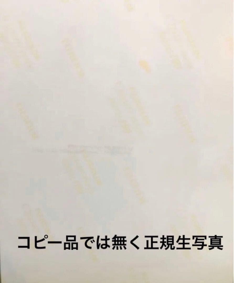TWICE モモ本人直筆サイン入り PLAY ビジュアルアート・日本に１枚非売品