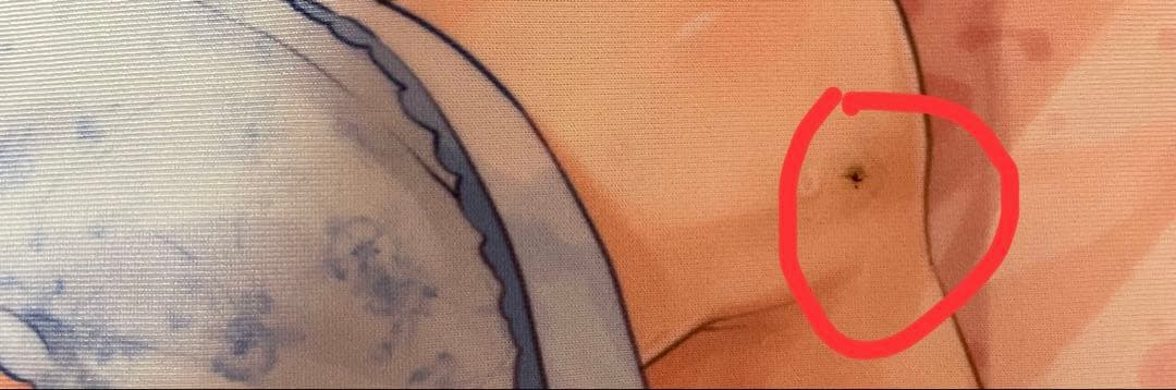 インサートエアピロー用枕カバー 白根戴斗 タマトイズ