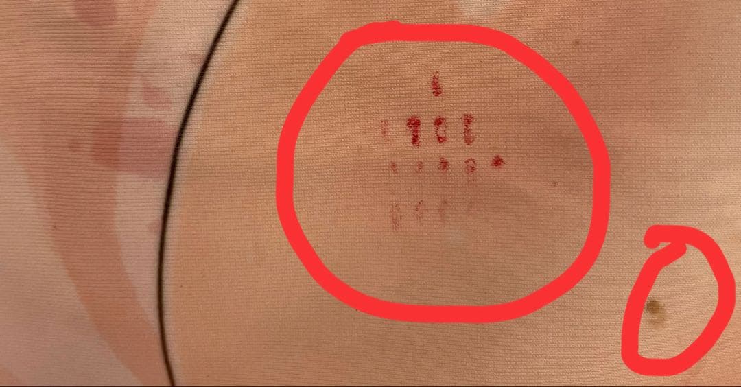 インサートエアピロー用枕カバー 白根戴斗 タマトイズ