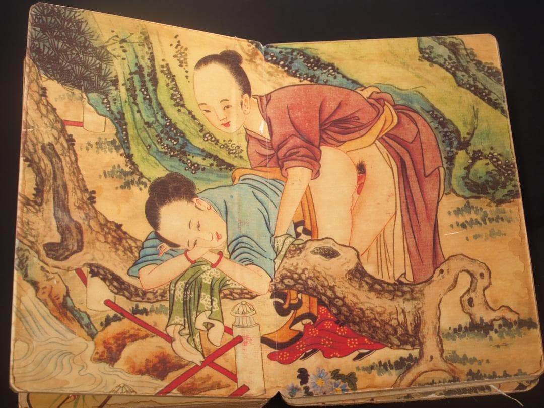 骨董市仕入れ品　中国 绘册 　肉筆保証　　 AK2027D3-2
