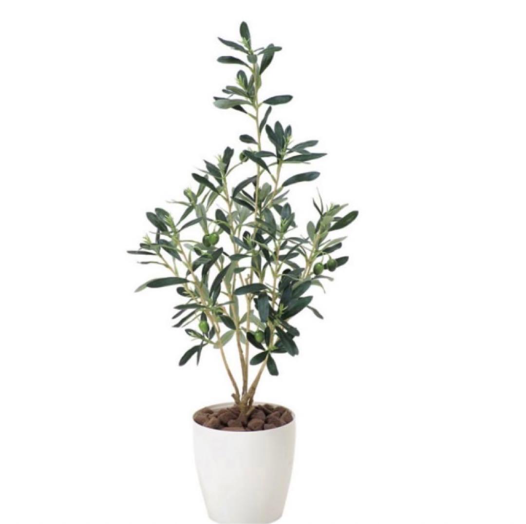 光触媒　人工観葉植物　ウォールグリーン　フェイクグリーン　オリーブ73センチ