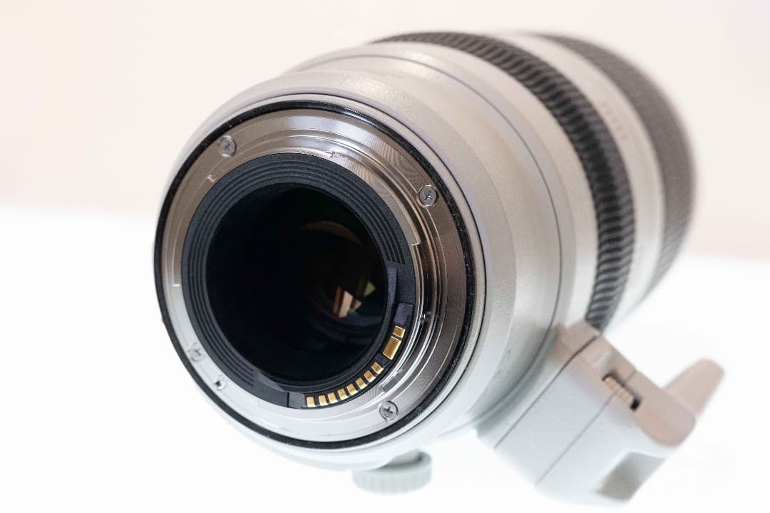 CANON EF100-400F4.5-5.6L IS　II　USM
