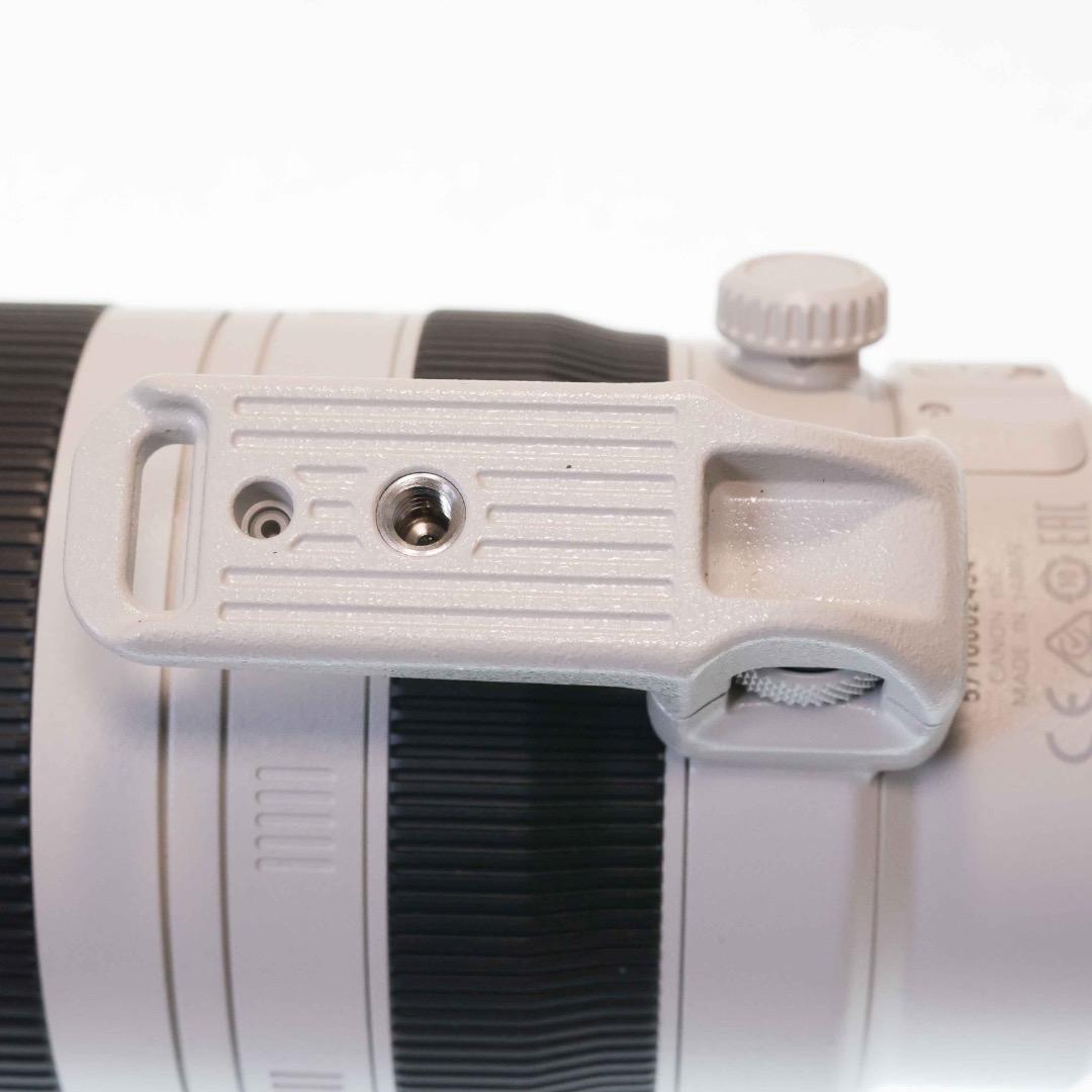 CANON EF100-400F4.5-5.6L IS　II　USM