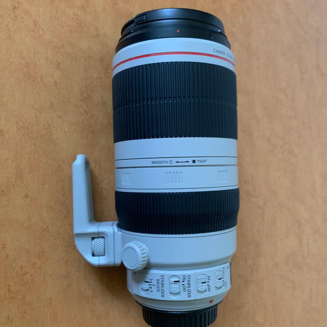 Canon EF 100-400mm f4.5-5.6L IS ⅱ USM