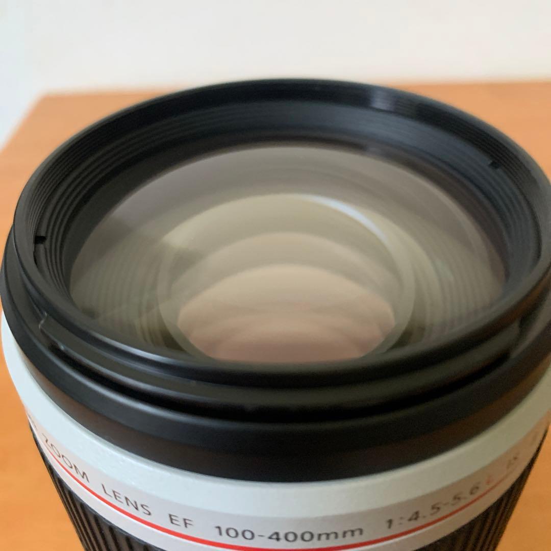 Canon EF 100-400mm f4.5-5.6L IS ⅱ USM