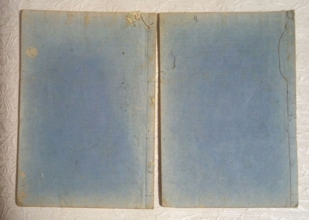 池大雅伊孚九山水畫譜享和3年二冊と再版昭和18年池大雅伊孚九山水畫譜二冊4冊売り