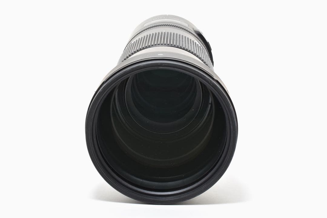 Sigma 150-600mm F5-6.3 DG OS HSM ズームレンズ