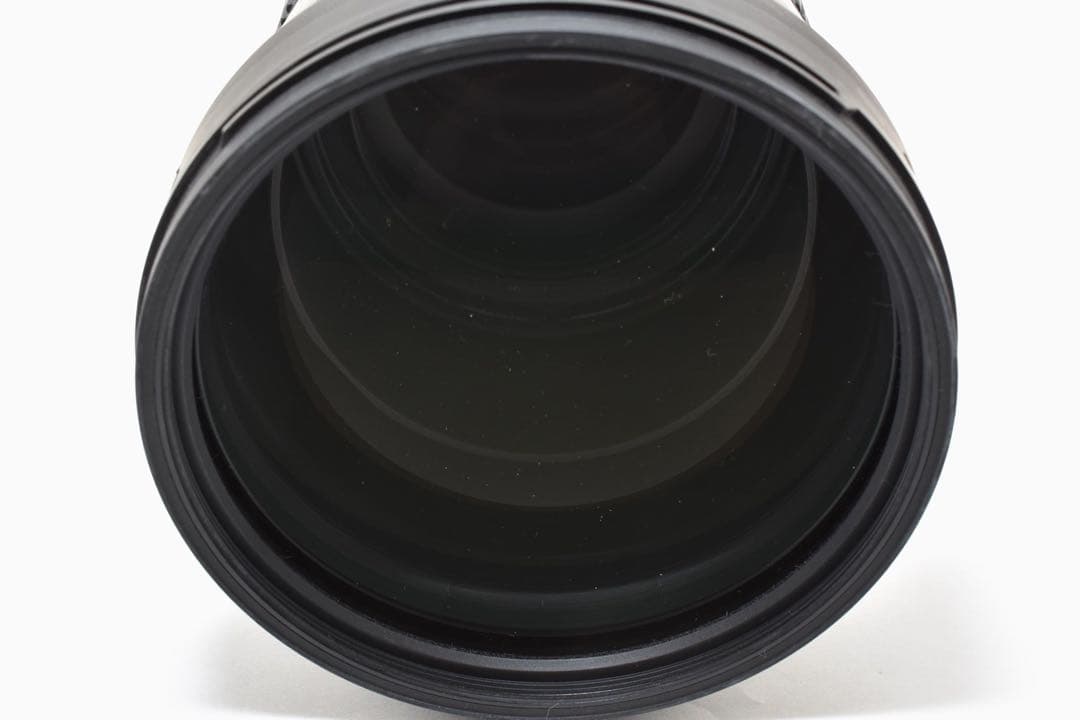 Sigma 150-600mm F5-6.3 DG OS HSM ズームレンズ