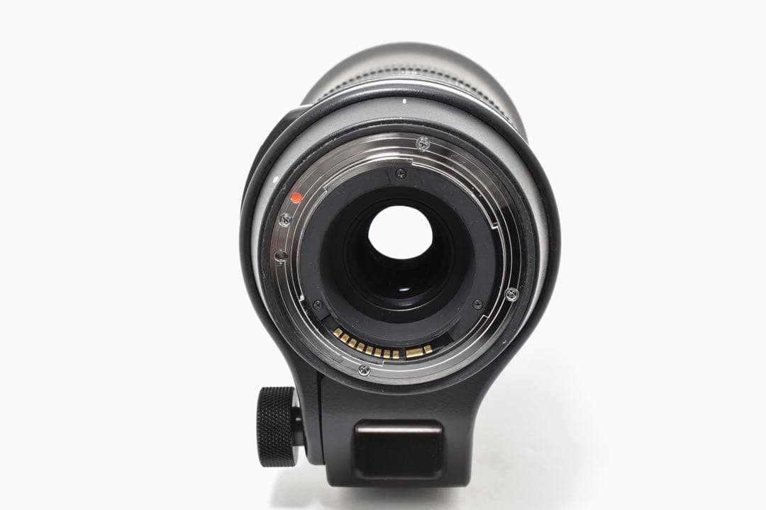 Sigma 150-600mm F5-6.3 DG OS HSM ズームレンズ