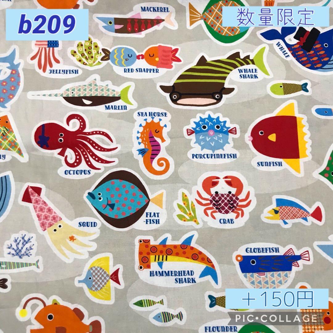 男の子　ハンドメイド　オーダーページ　ランチョンマット　巾着袋　など