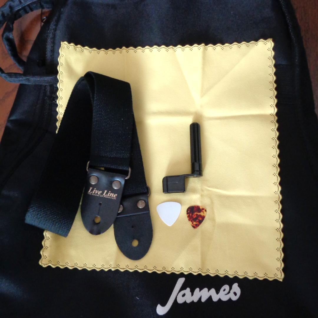 James J-350C EBU　Fishman製ピックアップ　美品　付属品有り