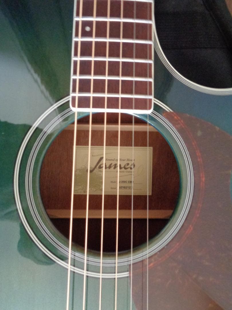 James J-350C EBU　Fishman製ピックアップ　美品　付属品有り