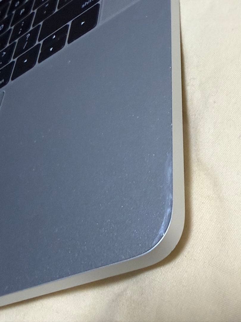 Apple MacBook Pro 15.4インチ (2017) 表示に難あり