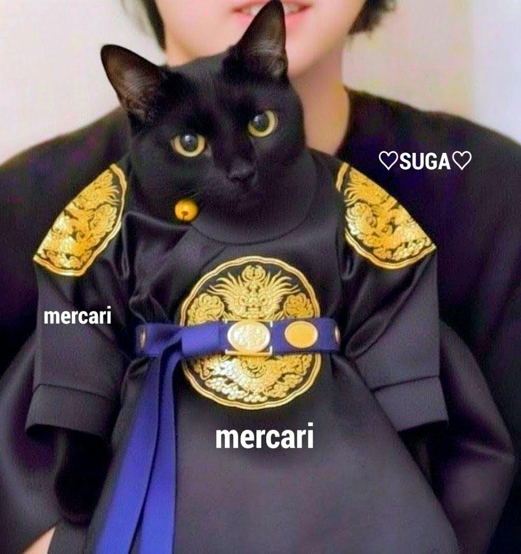 BTS ぬいぐるみ 10cm SUGA AgustD ユンギ テテ ジン ジミン