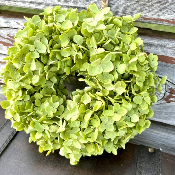 アナベル紫陽花　リース