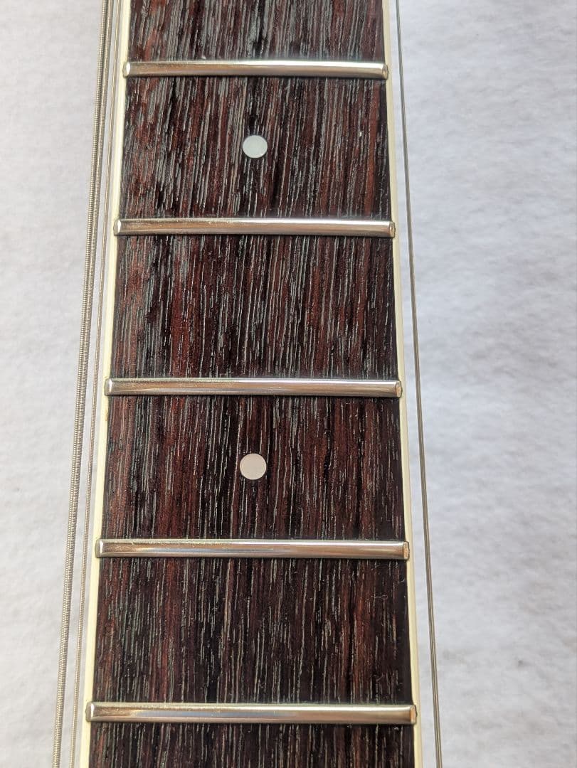 FERNANDES APG-55S Blue フェルナンデス　サスティナー
