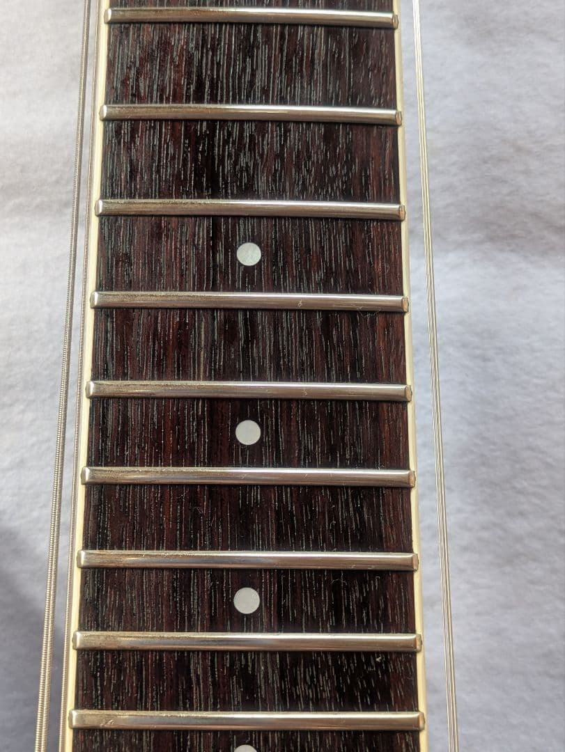 FERNANDES APG-55S Blue フェルナンデス　サスティナー