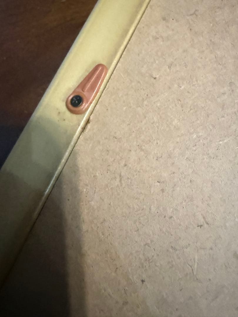 版画 限定版39/1000 カナルシーン