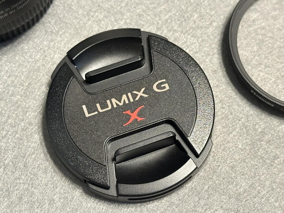 ことり　Panasonic LUMIX G X VARIO PZ