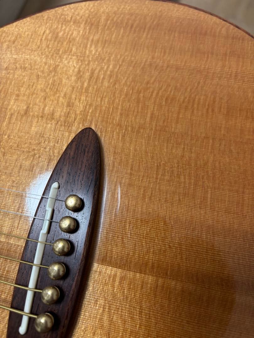 アヌエヌエ　M100 ピックアップ付き