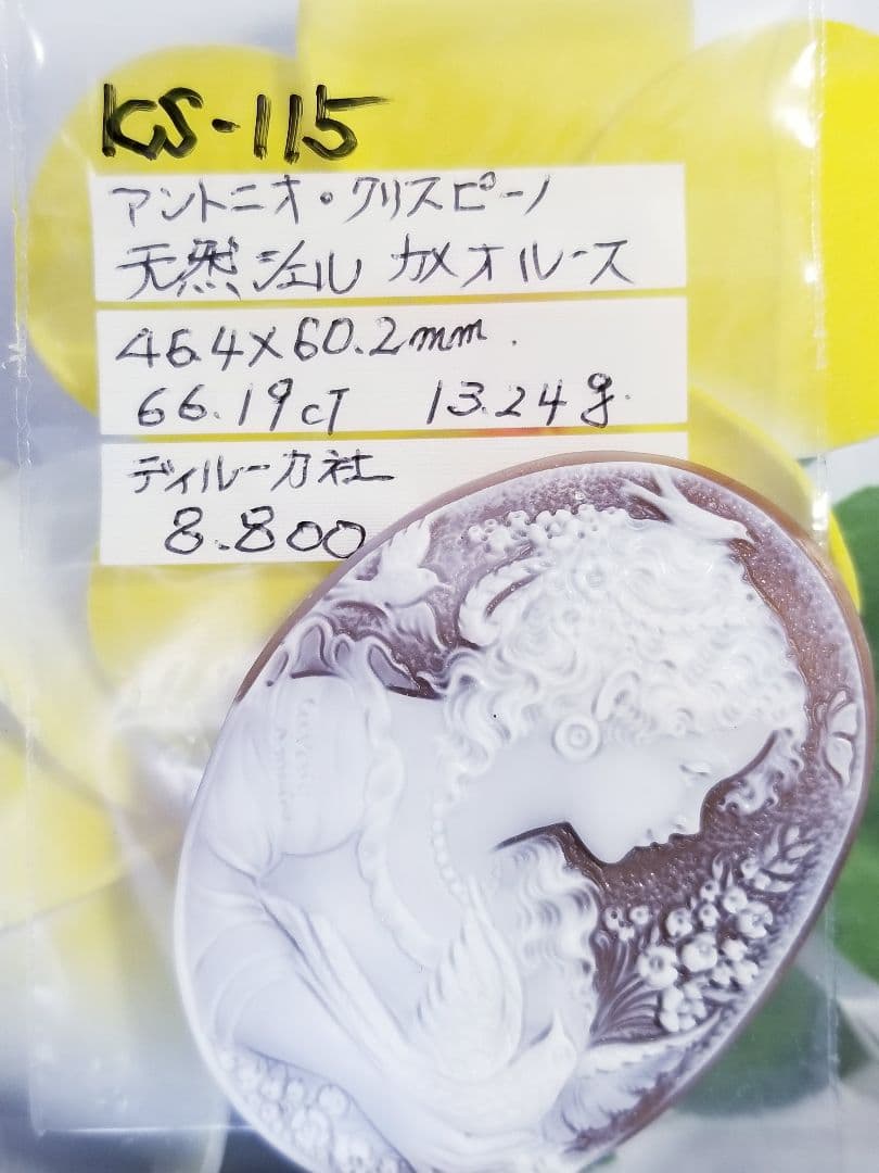 KS-115 【アントニオ・クリスピーノ】作　天然シェルカメオルース