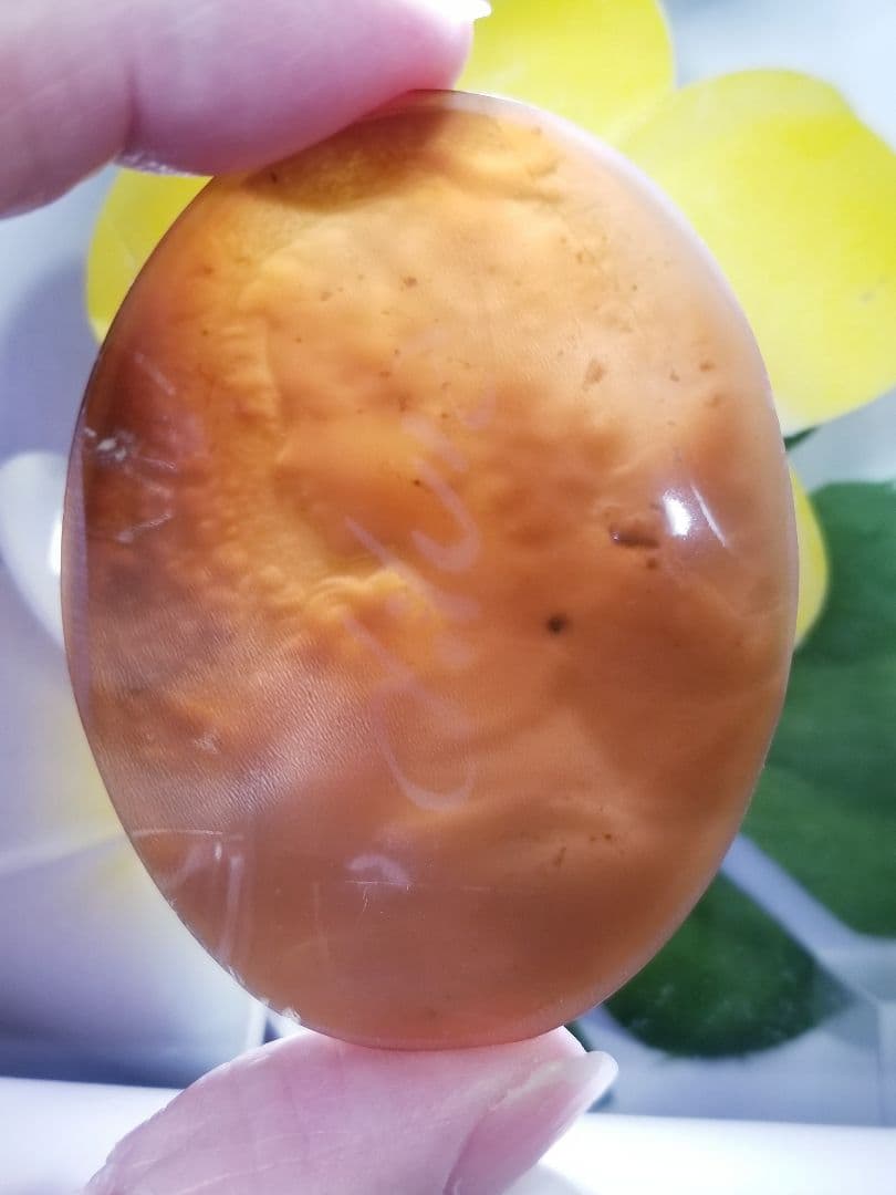 KS-115 【アントニオ・クリスピーノ】作　天然シェルカメオルース